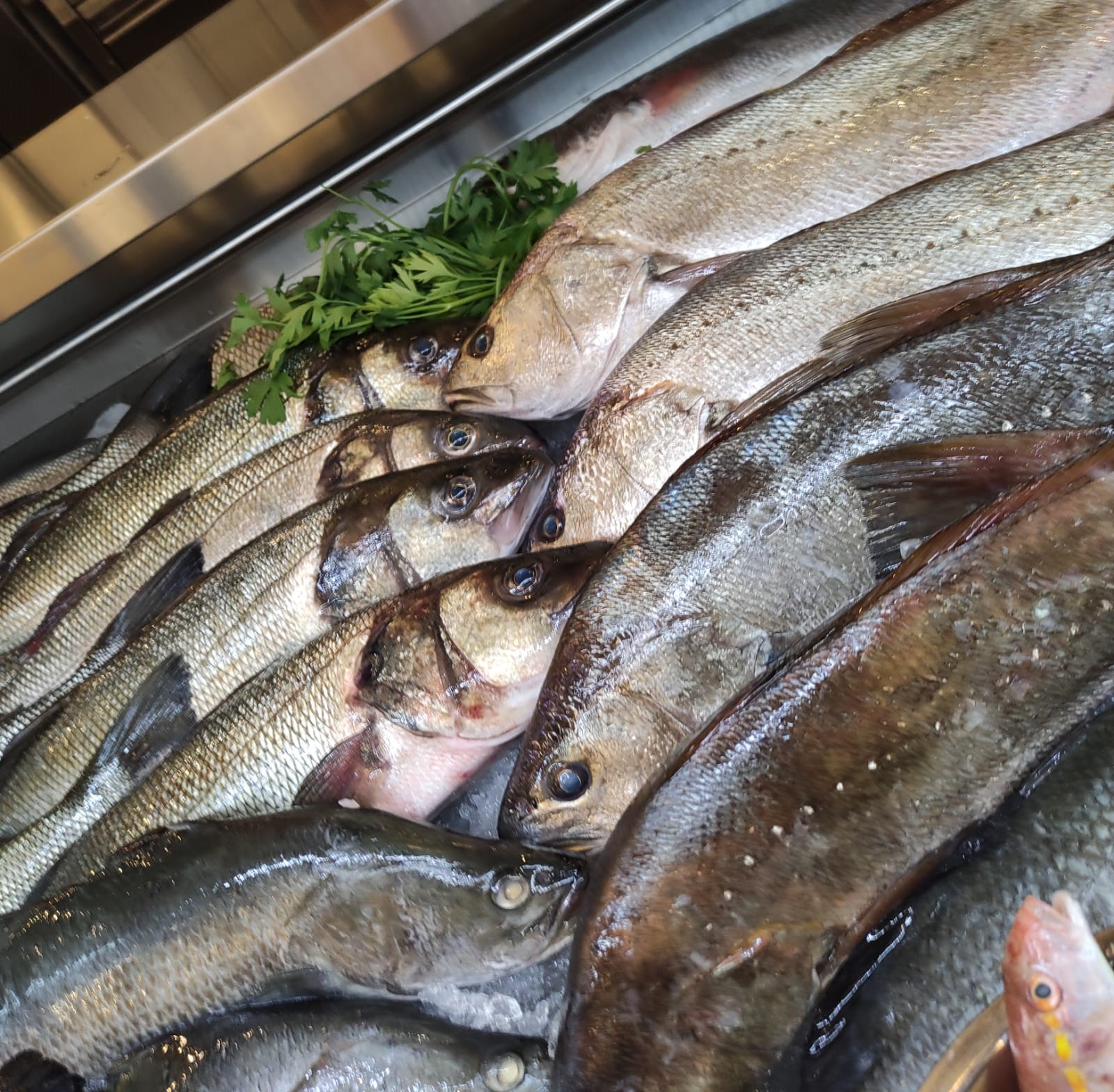 WhatsApp Image 2021-08-19 at 1.53.13 PM (2).jpeg